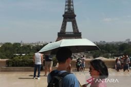França regista aumento de mortes devido ao calor extremo