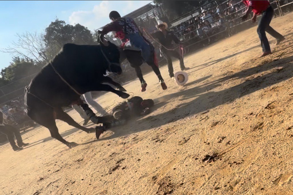 Rodeio no Bronx onde cavaleiro foi jogado de um touro e pisoteado não tinha licença: relatório