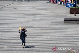 A onda de calor provocou incêndios florestais em diversas regiões da Alemanha
