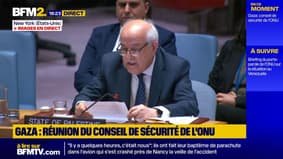 “A anexação está acontecendo em um ritmo muito mais acelerado do que antes”, diz embaixador palestino na ONU