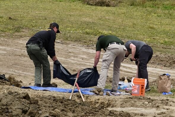 Cães pelo menos 117 restos encontrados com ferimento de bala no abrigo da Animal World | Notícias