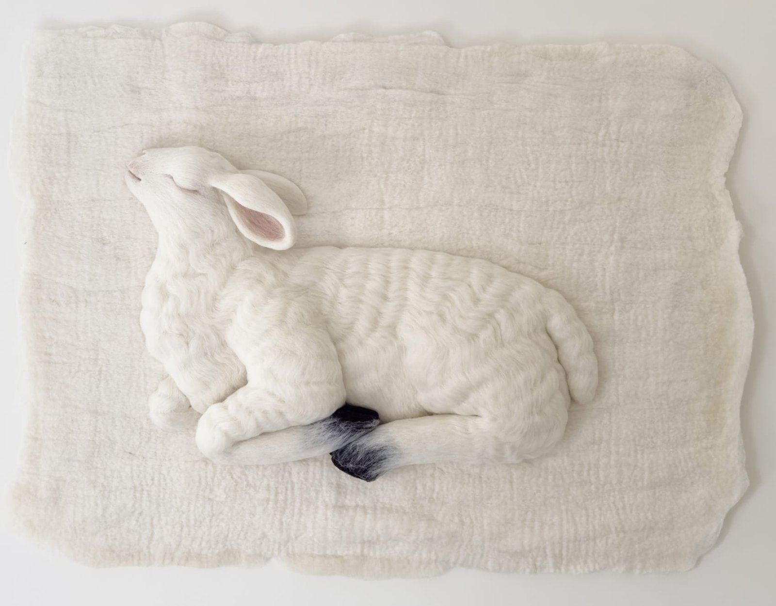 Animais e ornamentos emergem da lã feltrada nos têxteis Holly Guertin – colossais