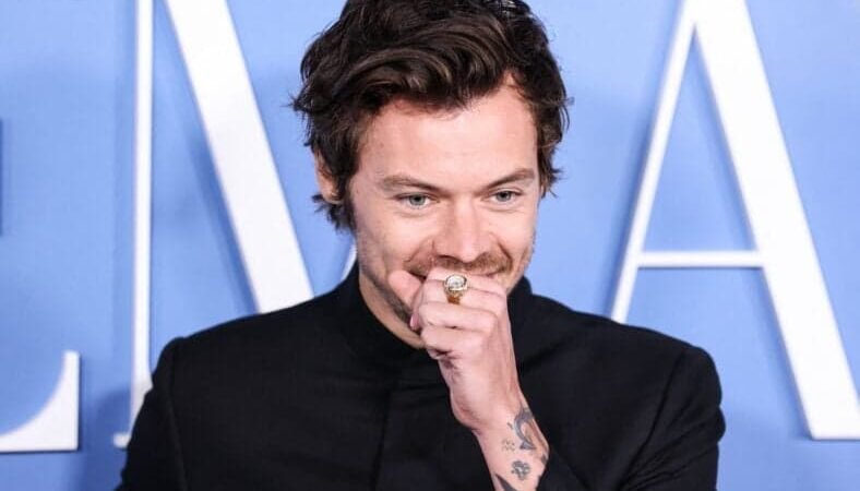 Harry Styles desperta preocupação após o chuck durante o show