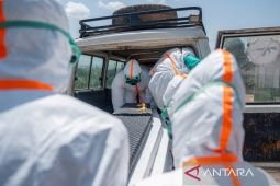 Congo proíbe pessoas para evitar a propagação do Ébola