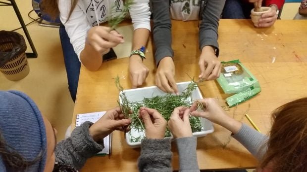 Descubra as atividades florestais gratuitas e “amigas dos animais” para este verão na Comunidade de Madrid