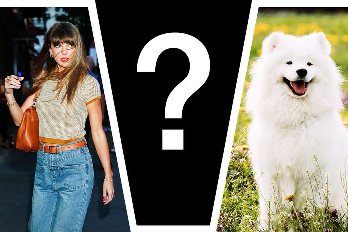 Este é o grande cachorro branco de Taylor Swift e Travis Kelce?