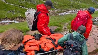 Um Labrador começou a cambalear e não conseguia mais andar na montanha mais alta da Grã-Bretanha; Mais tarde, as equipes de resgate descobriram o que ela havia comido