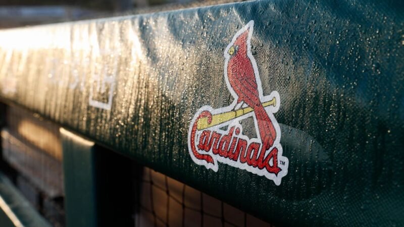 Prospect Cardinals, de 23 anos, encerra carreira apenas 3 dias após passeio brutal