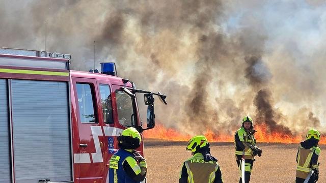 Operação de bombeiros: Incêndio de campo em Stüttensee – evacuação assistida