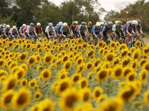 DIRETO. Tour de France 2026 – etapa 13: quem sairá vitorioso no percurso mais longo desta 113ª edição? Acompanhe a cena entre Dole e Belfort ao vivo