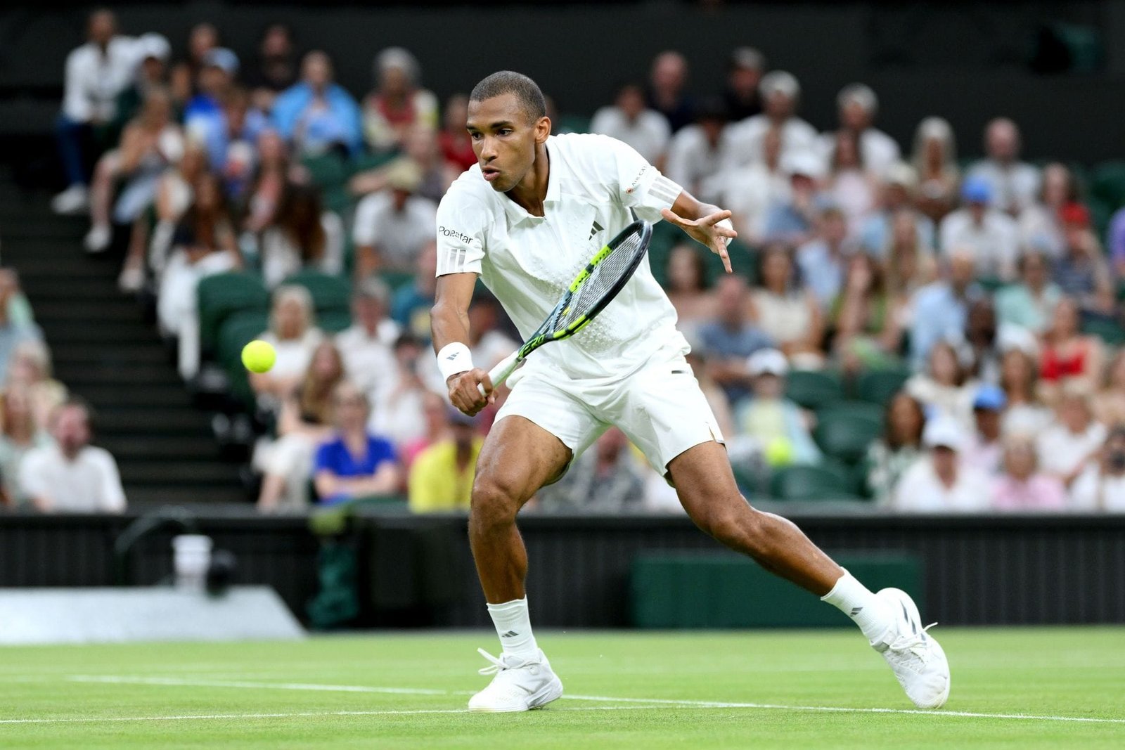 Andy Roddick chama Davidovich Fokina irritado com Felix Auger-Aliassime de ’touro absoluto ** t’ após a disputa de Wimbledon