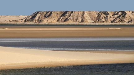 O Festival Internacional de Cinema do Sahara pede o anúncio da exibição do filme “A Odisseia”, parcialmente rodado no Sahara Ocidental – franceinfo