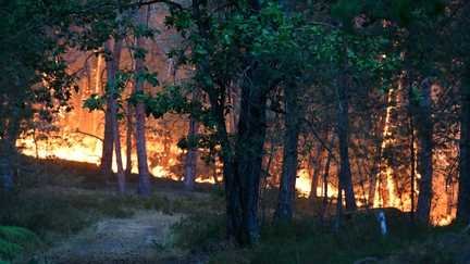 O “risco” de incêndios florestais “será ainda mais significativo nas próximas semanas”, alerta o tenente-coronel dos bombeiros de Gard.