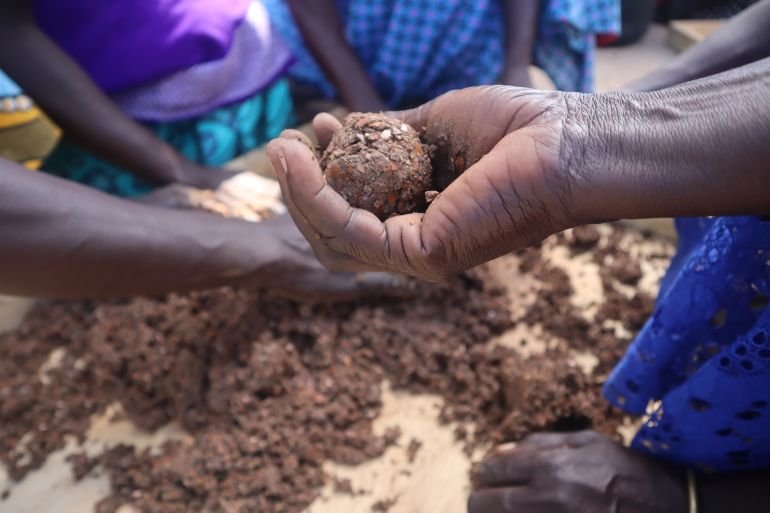 Salvando o carité: mulheres de Uganda transformam resíduos em energia limpa | notícias