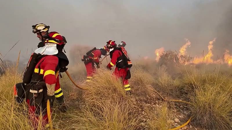 Incêndio “deslumbrante”, pelo menos 11 mortos incluindo “estrangeiros” … O que sabemos sobre o incêndio no sul de Espanha