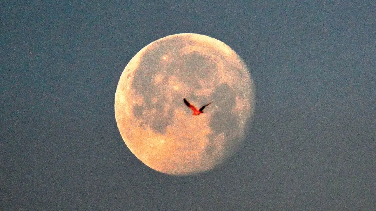 A lua está se afastando da terra – mas muito lentamente