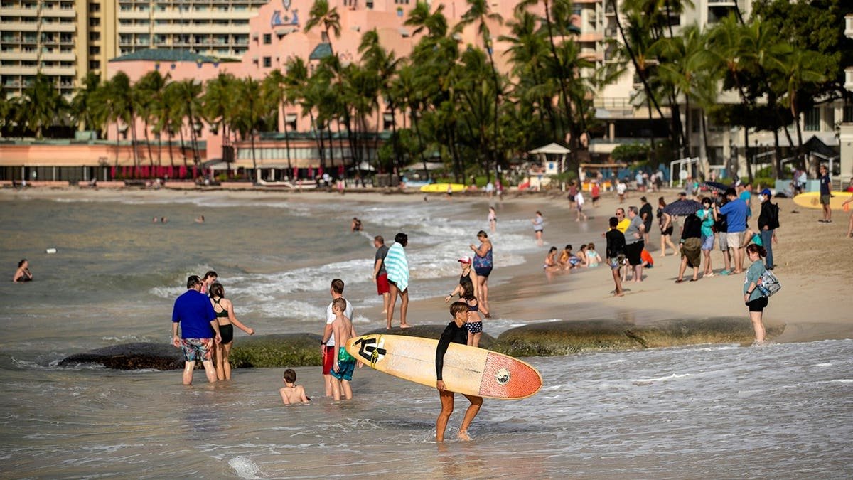 O irmão de Tulsi Gabbard supostamente acusou as crianças em Honolulu